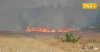 Flächenbrand in Stutensee: Wie Anwohner ihre Häuser schützten - BNN - Badische Neueste Nachrichten