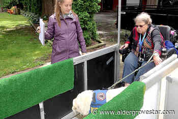 Celebrate the abilities of people with disabilities, says founder of Langley advocacy group - Aldergrove Star