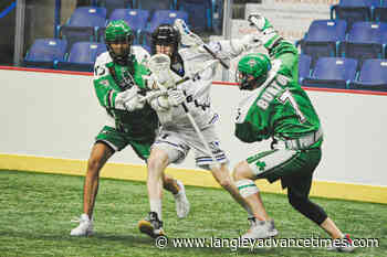Langley WLA Thunder fall to Shamrocks - Langley Advance Times