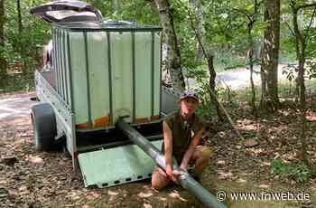 Innovative Jäger garantieren, dass das Wild nicht verdurstet - Tauberbischofsheim - Nachrichten und Informationen - Fränkische Nachrichten