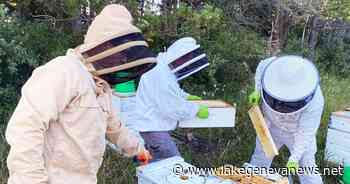 In photos and video: Waterford Bee Company | Local News | lakegenevanews.net - Lake Geneva Regional News