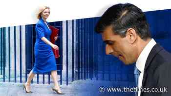 Even Boris Johnson feels sorry for struggling Rishi Sunak - The Times