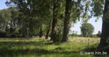 Verken het Walbos | Tielt | hln.be - Het Laatste Nieuws