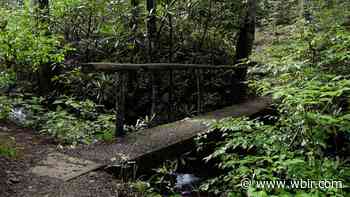 10Explores: Elkmont Nature Trail - WBIR.com