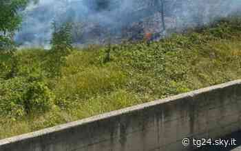 In fiamme 2.500 mq sterpaglie e arbusti tra case a Fabriano - Sky Tg24