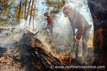 45 new wildfires spark after lightning hits dry areas of B.C. - Kitimat Northern Sentinel