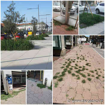 Cuneo tra degrado e incuria: "Non c'è manutenzione, i marciapiedi sono sporchi e ci sono erbacce ovunque"" - TargatoCn.it