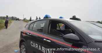 Cadavere di donna ritrovato nelle campagne di Vigevano - L'Informatore Vigevanese