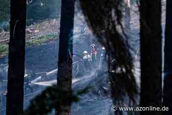 Waldbrand bei Plettenberg unter Kontrolle - Allgemeine Zeitung
