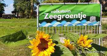 Kom naar de eerste opentuindag van volkstuin Zeegroentje op 13 augustus - Het Laatste Nieuws