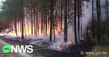 Al 75 buitenbranden deze maand in Limburg door droogte, brandweer vraagt extra voorzichtig te zijn - VRT NWS