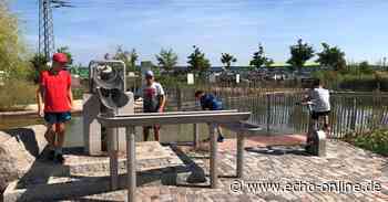 Ferienzeit beim WSV Lampertheim - Echo Online