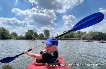 Naturerlebnis auf dem Altrhein - Mannheimer Morgen