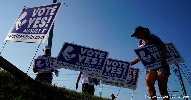 Kansas Recounting Abortion Vote Amid Fear of Irregularities in Voting Data