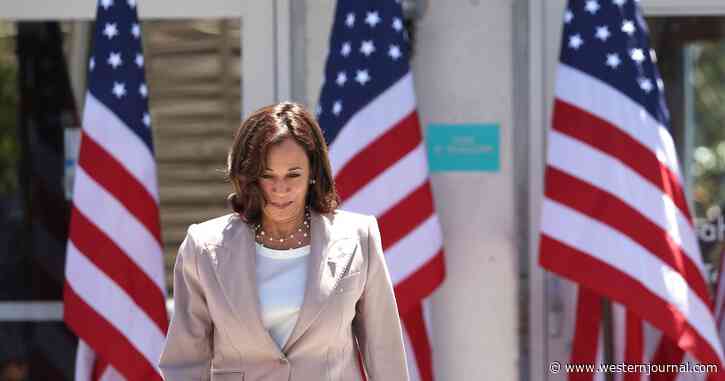 VP Harris Breaks Silence on Trump Raid - Can't Make It 5 Words Without Giggling