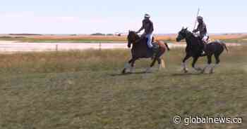 Bridge City polocrosse tournament moving to new location