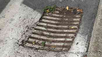 Ondata di maltempo in Sicilia, il monito dell'associazione "Svegliati Catania": "Necessaria pulizia caditoie" - CataniaToday