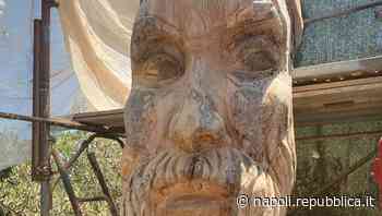 Ischia, il pino malato diventa una scultura: ha il volto di Ferrante d'Avalos - La Repubblica