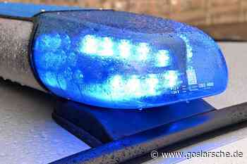 Ausgebüxtes Rind beschädigt Autos in Sulingen - Welt-Nachrichten - Goslarsche Zeitung