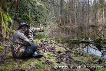 Need a Squamish 2023 calendar? - Squamish Chief