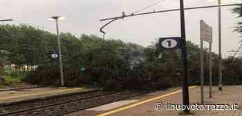 Maltempo luglio. Nella provincia di Cremona danni stimati per oltre 2milioni di euro - Il Nuovo Torrazzo