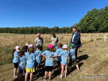 Bürgerwäldle Giengen: Gegen die Trockenheit: Ein Eimer Wasser für die Bäume - Heidenheimer Zeitung