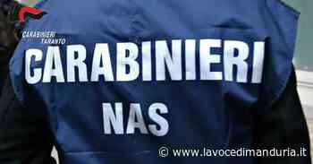 Nas in azione in tutta la provincia di Taranto: 5 licenze sospese, 30 denunciati, multe per 50mila euro - La Voce di Manduria