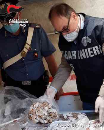 Provincia di Agrigento, controlli dei NAS in attività di ristorazione, gelaterie ed aziende di produzioni dolciarie - Sicilia Reporter
