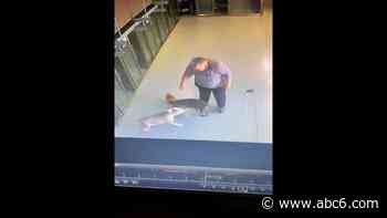 Rhode Island veterinarian surrenders license amid growing concerns from past - WLNE-TV (ABC6)