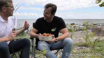 Mit Kaminski auf Fehmarn: Wie Robert Dahl ein ungewöhnliches Erdbeer-Imperium erschaffen hat - Horizont.net