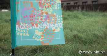 Vier afhaalmomenten voor BoslandTrail | Hechtel-Eksel | hln.be - Het Laatste Nieuws