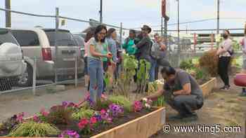 Neighborhood garden hopes to deter future encampments near Aurora Avenue - KING5.com