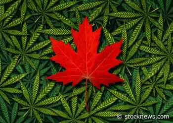 TLRY: Tilray, Canopy, and Aurora Cannabis Are on the Rise — Do They Make Good Buys? - StockNews.com