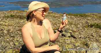 Corner Brook artist tackles wind farm development through political puppetry featuring 'Little Premier' - Saltwire