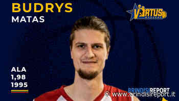 New Virtus Mesagne, dalla Lituania il nuovo rinforzo gialloblu Matas Budrys - BrindisiReport