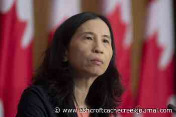 Canadian wastewater surveillance expanding to new public health threats: Tam - Ashcroft Cache Creek Journal