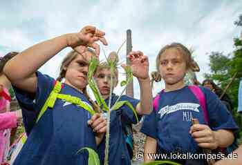 Schutzstrategien von Tieren und Pflanzen bei der Hütten-Safari - www.lokalkompass.de