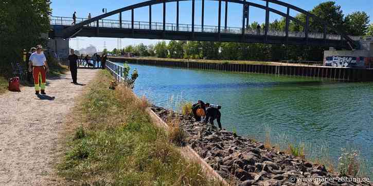 Am Wesel-Datteln-Kanal bei Marl wurde am Freitagnachmittag nach einem vermissten 16-Jährigen gesucht - Marler Zeitung