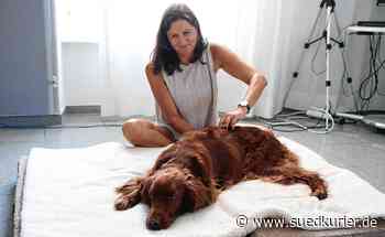 Konstanz: Physiotherapie für den besten Freund des Menschen: „Der Hund zeigt, was ihm gut tut und was nicht“ - SÜDKURIER Online