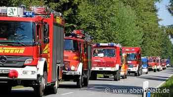 1000 Helfer kämpfen im Segeberger Forst gegen gefährlichen Waldbrand - Hamburger Abendblatt