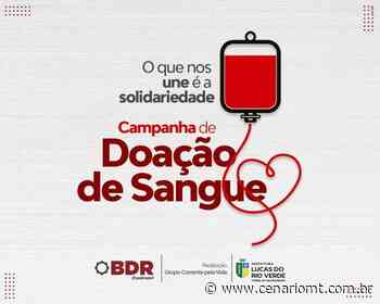 Lucas do Rio Verde terá nova campanha de doação de sangue neste sábado (13) - CenárioMT
