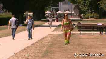 De verdorde stad: Brussel Leefmilieu besproeit groene ruimten zo veel het kan - BRUZZ