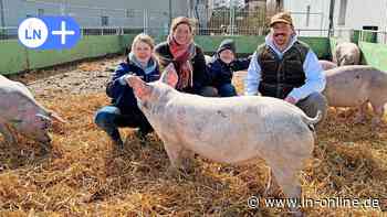 Ein Stück Land Kayhude: Auch Hofladen-Sortiment kommt ins Internet - Lübecker Nachrichten