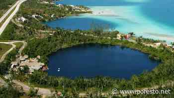 Cenote Azul en Bacalar, ojo de agua rodeado de naturaleza en Quintana Roo - PorEsto