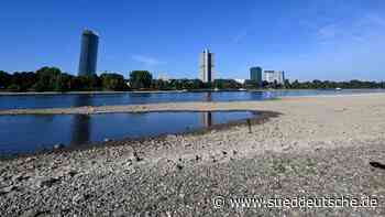 Hochwasser - Bonn - Hochwasserschutzwände am Rhein werden für Übung aufgebaut - Panorama - SZ.de - Süddeutsche Zeitung - SZ.de