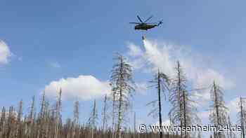 Waldbrand im Nationalpark Harz gelöscht