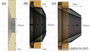 Improvement in the neutron beam collimation for application in boron neutron capture therapy of the head and neck region | Scientific Reports - Nature.com