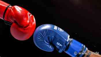 Wechsel an die Sportschule: Auf Wittenberger Box-Talent wartet der Schweriner Ring - svz – Schweriner Volkszeitung