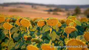 Wetter wird wechselhafter