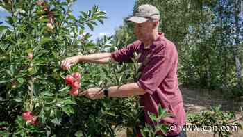 A nation used to relentless rain is struggling with extreme heat